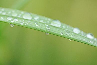 炒股模拟器 《STONKS-9800》2022年Q1登陆Steam